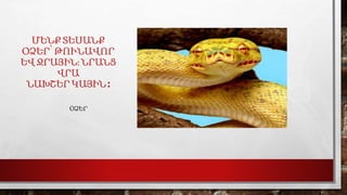 ՄԵՆՔ ՏԵՍԱՆՔ
ՕՁԵՐ՝ ԹՈՒՆԱՎՈՐ
ԵՎ ՋՐԱՅԻՆ։ ՆՐԱՆՑ
ՎՐԱ
ՆԱԽՇԵՐ ԿԱՅԻՆ :
ՕՁԵՐ
 