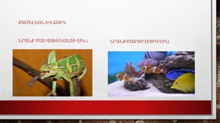 ՔԱՄԵԼԵՈՆ ԵՎ ՁՈՒԿ
ՆՐԱՆՔ ՇԱՏ ՎԱԽԵՆԱԼՈՒ ԷԻՆ : ՆՐԱՆՔ ՇԱՏ ԳԵՂԵՑԻԿ ԷԻՆ:
 