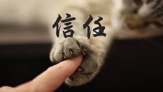 信任
 
