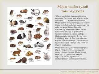 амьтны экологийн орчин үеийн судалгааны аргууд | PPT