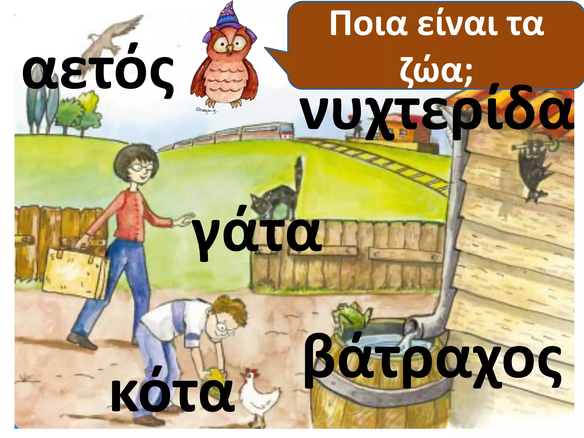 Ποια είναι τα 
αετός ζώα; 
νυχτερίδα 
γάτα 
κότα 
βάτραχος 
 