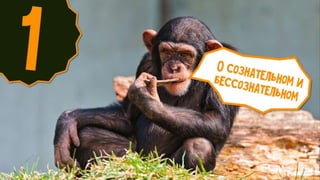 фил барден   взлом маркетинга