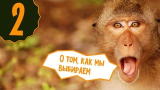 фил барден   взлом маркетинга