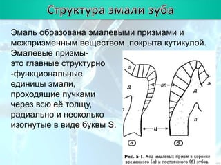 состав | PPT