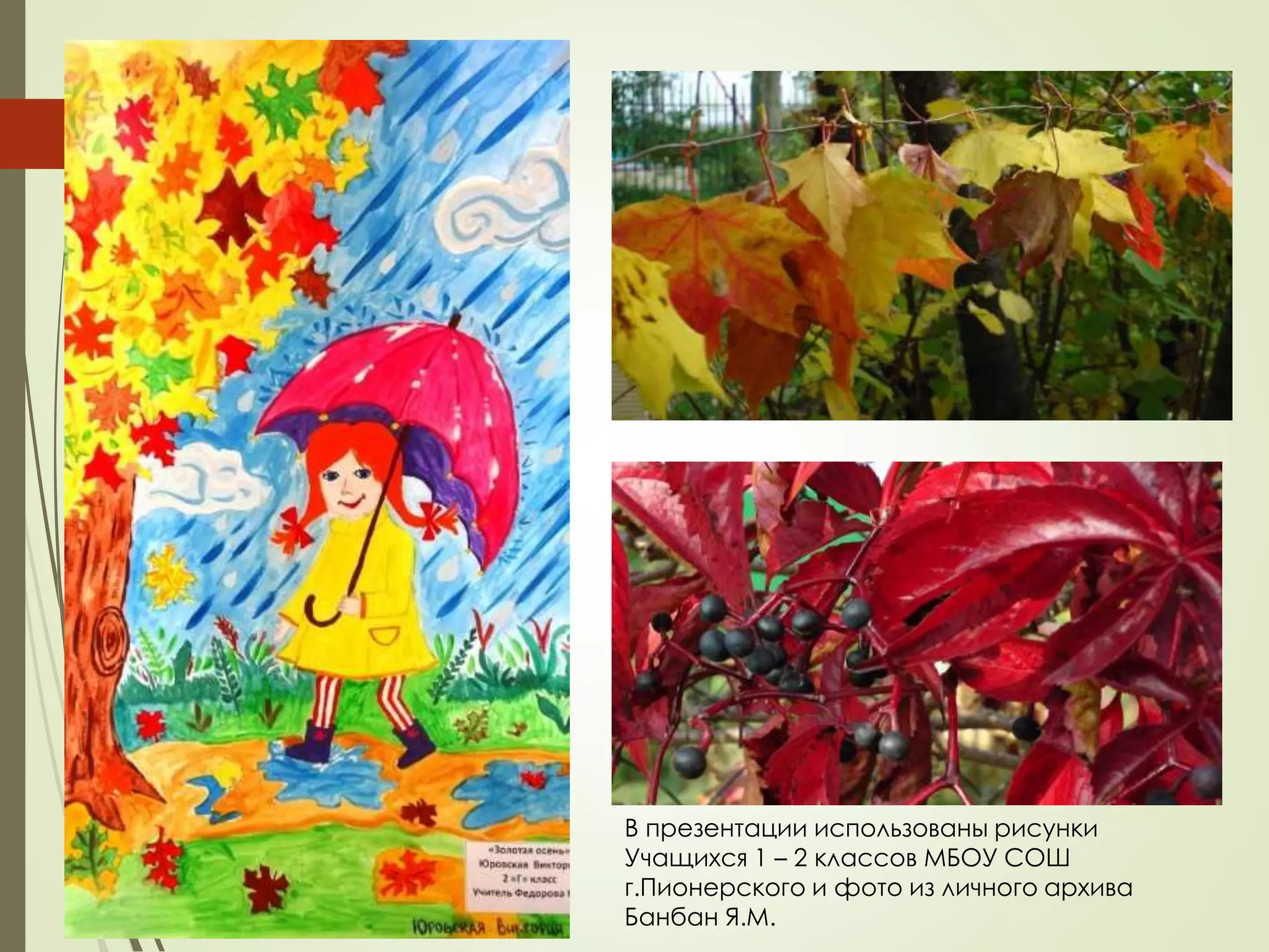 В презентации использованы рисунки
Учащихся 1 – 2 классов МБОУ СОШ
г.Пионерского и фото из личного архива
Банбан Я.М.