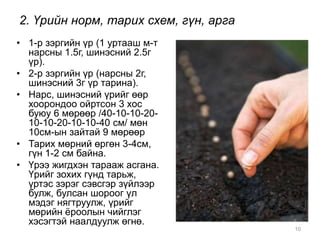 • 1-р зэргийн үр (1 уртааш м-т 
нарсны 1.5г, шинэсний 2.5г 
үр). 
• 2-р зэргийн үр (нарсны 2г, 
шинэсний 3г үр тарина). 
• Нарс, шинэсний үрийг өөр 
хоорондоо ойртсон 3 хос 
буюу 6 мөрөөр /40-10-10-20- 
10-10-20-10-10-40 см/ мөн 
10см-ын зайтай 9 мөрөөр 
• Тарих мөрний өргөн 3-4см, 
гүн 1-2 см байна. 
• Үрээ жигдхэн тарааж асгана. 
Үрийг зохих гүнд тарьж, 
үртэс зэрэг сэвсгэр зүйлээр 
булж, булсан шороог үл 
мэдэг нягтруулж, үрийг 
мөрийн ёроолын чийглэг 
хэсэгтэй наалдуулж өгнө. 
10 
2. Үрийн норм, тарих схем, гүн, арга 
 