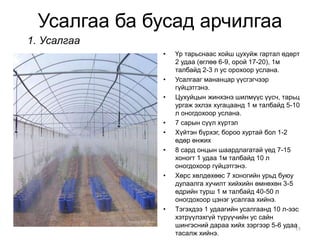 Усалгаа ба бусад арчилгаа 
• Үр тарьснаас хойш цухуйж гартал өдөрт 
2 удаа (өглөө 6-9, орой 17-20), 1м 
талбайд 2-3 л ус орохоор услана. 
• Усалгааг мананцар үүсгэгчээр 
гүйцэтгэнэ. 
• Цухуйцын жинхэнэ шилмүүс үүсч, тарьц 
ургаж эхлэх хугацаанд 1 м талбайд 5-10 
л оногдохоор услана. 
• 7 сарын сүүл хүртэл 
• Хүйтэн бүрхэг, бороо хуртай бол 1-2 
өдөр өнжих 
• 8 сард онцын шаардлагатай үед 7-15 
хоногт 1 удаа 1м талбайд 10 л 
оногдохоор гүйцэтгэнэ. 
• Хөрс хөлдөхөөс 7 хоногийн урьд буюу 
дулаалга хучилт хийхийн өмнөхөн 3-5 
өдрийн турш 1 м талбайд 40-50 л 
оногдохоор цэнэг усалгаа хийнэ. 
• Тэгэхдээ 1 удаагийн усалгаанд 10 л-ээс 
хэтрүүлэхгүй түрүүчийн ус сайн 
шингэсний дараа хийх зэргээр 5-6 удаа 
тасалж хийнэ. 
11 
1. Усалгаа 
 