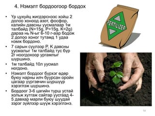 4. Нэмэлт бордоогоор бордох 
• Үр цухуйц жигдэрснээс хойш 2 
долоо хоноод азот, фосфор, 
калийн давсны уусмалаар 1м 
талбайд (N=15g, P=15g, K=2g) 
дараа нь N-ыг 6-10 г-аар бодож 
2 долоо хоног тутамд 1 удаа 
нэмж бордоно. 
• 7 сарын сүүлээр P, K давсны 
уусмалыг 1м талбайд тус бүр 
2г ноогдохоор ургамлыг 
шүршинэ. 
• 1м талбайд 10л уусмал 
ногдоно. 
• Нэмэлт бордоог бүрхэг өдөр 
буюу нарны илч буурсан оройн 
цагаар үүргэвчин шүршүүр 
хэрэглэж шүршинэ. 
• Бордоог 3-6 цагийн турш устай 
хольж хутгаж сайтар уусгаад 4- 
5 давхар марли буюу шуудай 
зэрэг зүйлээр шүүж хэрэглэнэ. 
14 
 