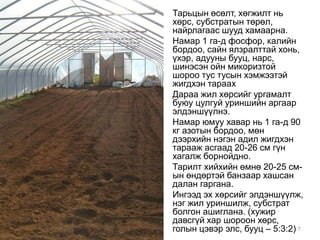 • Тарьцын өсөлт, хөгжилт нь 
хөрс, субстратын төрөл, 
найрлагаас шууд хамаарна. 
• Намар 1 га-д фосфор, калийн 
бордоо, сайн ялзралттай хонь, 
үхэр, адууны бууц, нарс, 
шинэсэн ойн микоризтой 
шороо тус тусын хэмжээтэй 
жигдхэн тараах 
• Дараа жил хөрсийг ургамалт 
буюу цулгуй уриншийн аргаар 
элдэншүүлнэ. 
• Намар юмуу хавар нь 1 га-д 90 
кг азотын бордоо, мөн 
дээрхийн нэгэн адил жигдхэн 
тарааж асгаад 20-26 см гүн 
хагалж борнойдно. 
• Тарилт хийхийн өмнө 20-25 см- 
ын өндөртэй банзаар хашсан 
далан гаргана. 
• Ингээд эх хөрсийг элдэншүүлж, 
нэг жил уриншилж, субстрат 
болгон ашиглана. (хужир 
давсгүй хар шороон хөрс, 
голын цэвэр элс, бууц – 5:3:2) 7 
 
