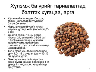 Хүлэмж ба үрийг тариалалтад 
бэлтгэх хугацаа, арга 
• Хүлэмжийн яс модыг босгож, 
зөвхөн хальсаар битүүлэхэд 
бэлэн болгоно. 
• Нарс, шинэсний үрийг жижиг 
марлин уутанд хийх (тараахад 2- 
3 см) 
• Үрийг 3 сарын 10-ны дотор 
нарсыг 24, шинэсийг 32-36 цаг 
0.05%-ын марганец хүчлийн 
калийн уусмалд байлгаж 
дэвтээгээд, сүүдэртэй тэгш газар 
цасаар дарна. 
• Тэгш газар 25-30 см зузаан цас + 
үр + 1.0-1.5 м зузаан цас + 10-15 
см зузаан үртэс 
• Өвөлжүүлсэн үрийг тарихын 
өмнө ТМТД хэмээх бодисоор 1 кг 
үрэнд 4 г ногдохоор хуурайгаар 
ариутгана. 
8 
 