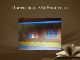 Цветы возле библиотеки 
 