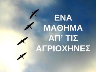 ΕΝΑ 
ΜΑΘΗΜΑ 
ΑΠ’ ΤΙΣ 
ΑΓΡΙΟΧΗΝΕΣ 
♫ Ανοίξτε τα ηχεία σας! 
ΚΑΝΕΤΕ ΚΛΙΚ ΓΙΑ ΝΑ ΠΡΟΧΩΡΑΝΕ ΤΑ ΣΛΑΙΝΤΣ 
 
