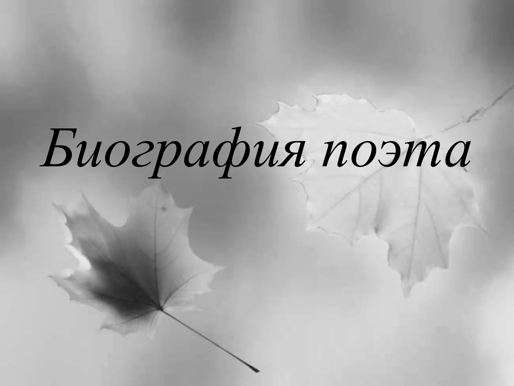 Биография поэта 
 