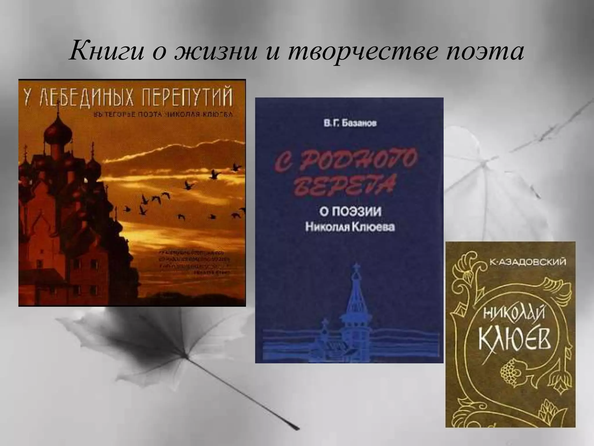 Книги о жизни и творчестве поэта 
 