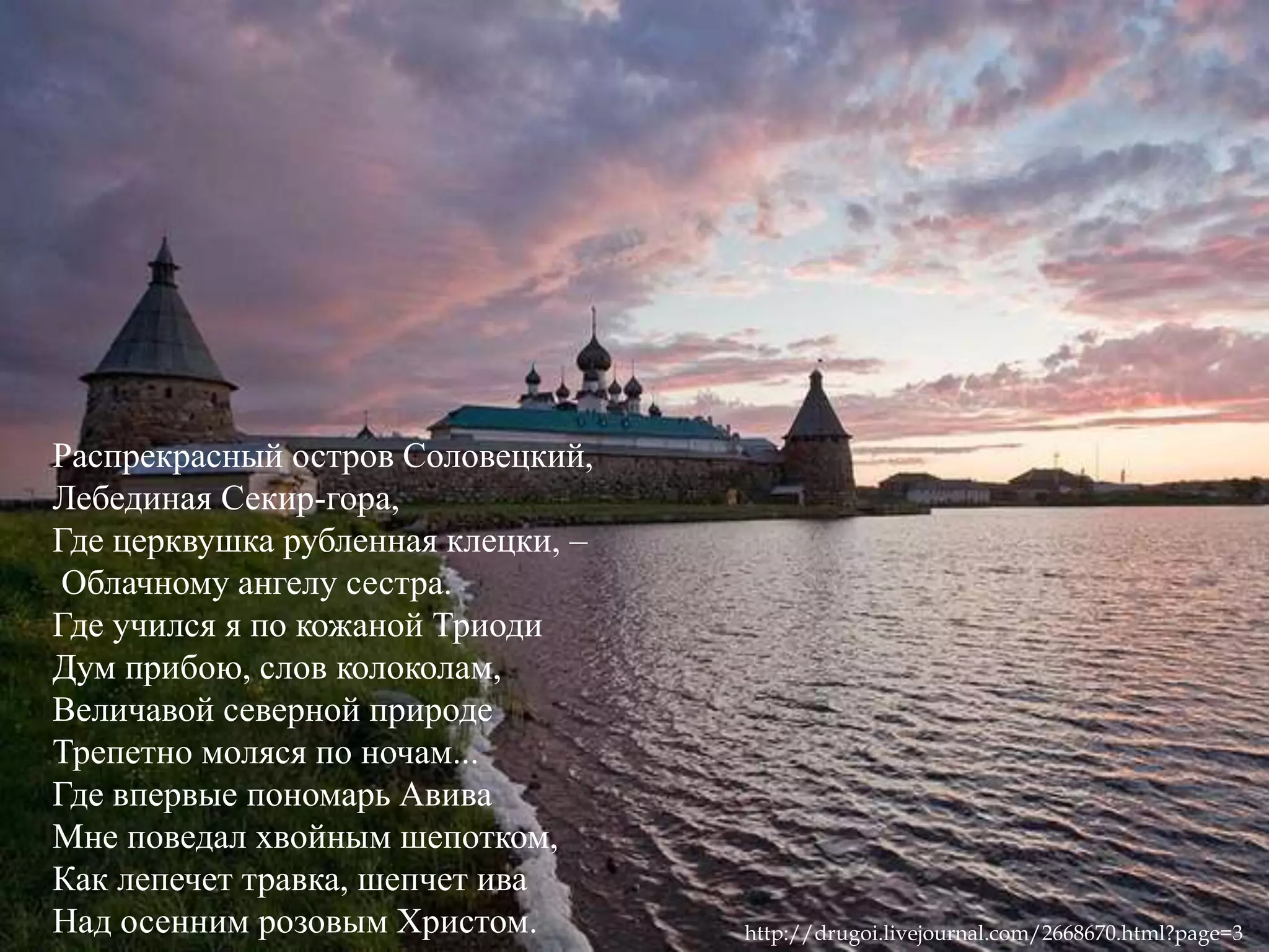 Распрекрасный остров Соловецкий, 
Лебединая Секир-гора, 
Где церквушка рубленная клецки, – 
Облачному ангелу сестра. 
Где учился я по кожаной Триоди 
Дум прибою, слов колоколам, 
Величавой северной природе 
Трепетно моляся по ночам... 
Где впервые пономарь Авива 
Мне поведал хвойным шепотком, 
Как лепечет травка, шепчет ива 
Над осенним розовым Христом. http://drugoi.livejournal.com/2668670.html?page=3 
 