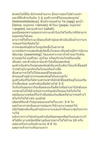 ดงัต่อไปนคี้อื มปีากคลา้ยงวง ยนื่ยาวออกไปขา้งหนา้ 
และมปีีกสา หรบับนิ 1 คู่ ยุงมวีงจรชวีติแบบสมบูรณ์ 
(holometabolous) ซึ่งประกอบดว้ย ไข่ (egg) ลูกนา้ 
(larva; พหูพจน ์=larvae) ตวัโม่ง (pupa; พหูพจน ์ 
=pupae) และยุงตวัแก่(adult) 
ยุงเมอื่ลอกคราบออกจากระยะตวัโม่งไดไ้ม่กนี่าทกี็สามาร 
ถออกบนิไดเ้ลย 
อาหารทใี่ชใ้นระยะนขี้องทงั้ตวัผูแ้ละตวัเมยีเป็นนา้หวานจ 
ากดอกไมห้รอืตน้ไม้ 
การผสมพนัธุส์ว่นใหญ่เกดิขนึ้ในอากาศ 
บางชนดิการผสมพนัธุเ์กดิขนึ้ในขณะทยีุ่งตวัผูม้กีารบนิวน 
เป็นกลุม่ (swarming) โดยเฉพาะเวลาหวัค่า และใกลรุ้่ง 
ตามพุ่มไม้บนศรีษะ ทุง่โลง่ หรอืบรเิวณใกลก้บัเหยอื่ 
เป็นตน้ และตวัเมยีจะบนิเขา้ไปเพอื่ผสมพนัธุ ์ 
ยุงตวัเมยีสว่นใหญ่ผสมพนัธุเ์พยีงครงั้เดยีวโดยทเี่ชอื้อสุจิ 
จากตวัผูจ้ะถูกกกัเก็บในถุงเก็บนา้เชอื้ 
ซึ่งสามารถใชไ้ปไดต้ลอดชวีติของมนั 
สว่นยุงตวัผูส้ามารถผสมพนัธุไ์ดห้ลายครงั้ 
ยุงตวัเมยีทจี่บัไดต้ามธรรมชาตมิกัมเีชอื้อสุจอิยู่ในถุงเก็บ 
นา้เชอื้เสมอ ยุงตวัเมยีเมอื่มอีายุได้2-3 
วนัจงึเรมิ่ออกหากนิเลอืดคนหรอืสตัวเ์พอื่นาเอาโปรตนีแล 
ะแร่ธาตุไปใชส้า หรบัการเจรญิเตบิโตของไข่ในรงัไข่ 
แต่มยีุงบางชนดิทไี่ม่จาเป็นตอ้งกนิเลอืดก็สามารถสรา้งไ 
ข่ในรงัไข่ได้เช่น ยุงยกัษ ์ 
เลอืดทกี่นิเขา้ไปถูกย่อยหมดไปในเวลา 2-4 วนั 
แต่ถา้อากาศเย็นลงการย่อยจะใชเ้วลานานออกไป 
เมอื่ไข่สุกเต็มทยีุ่งตวัเมยีจะหาแหลง่นา้ทเี่หมาะสมในการว 
างไข่ 
หลงัจากวางไข่แลว้ยุงตวัเมยีก็ออกดูดเลอืดใหม่และวางไ 
ข่ไดอ้กี บางชนดิทมี่อีายุยนืมากอาจไข่ไดร้่วม 10 ครงั้ 
แต่ละครงั้ห่างกนัประมาณ 4-5 วนั 
แต่อาจเร็วกว่าหรอืนานกว่า 
 