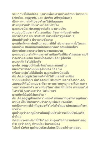 จะยกกน้ชเี้ป็นปลอ่ง ยุงลายทพี่บตามบา้นเรอืนหรอืชนบท 
(Aedes. aegypti, และ Aedes albopictus ) 
เป็นพาหนะสา คญัของโรคไขเ้ลอืดออก 
สว่นยุงลายป่าเป็นพาหะโรคเทา้ชา้ง 
ยุงลายชนดิ Ae.aegyptiหรอื ยุงลายบา้น 
พบบอ่ยเป็นประจาในเขตเมอืง มขีนาดค่อนขา้งเล็ก 
บนิไดว้่องไว บน scutum มลีายสขีาวรูปเคยีว 2 
อนัอยู่ดา้นขา้ง มขีาลายชดัเจน 
ยุงชนดินเี้พาะพนัธุใ์นภาชนะทมี่นีา้ขงัทุกขนาดทงั้ในและ 
นอกบา้น ชอบกดักนิเลอืดคนมากกว่ากนิเลอืดสตัว ์ 
มกัหากนิเวลากลางวนัช่วงสายและบา่ย 
ยุงลายชอบเขา้กดัคนทางดา้นมดืหรอืทมี่เีงาโดยเฉพาะบริ 
เวณขาและแขน ขณะทกี่ดัมกัไม่ค่อยรูส้กึเจ็บ 
คนถูกกดัจงึไม่รูส้กึตวั 
ยุงAe. aegyptiกดัทงั้ในบา้นและนอกบา้น 
และเกาะพกัตามมุมมดืในหอ้ง โอ่ง ไห 
หรอืตามพุ่มไมท้เี่ย็นชนื้ ยุงลายอกีชนดิหนงึ่ 
คอื Ae.albopictusพบไดท้วั่ไปในเขตชานเมอืง 
ชนบทและในป่า มลีวดลายที่scutum แตกต่างจาก Ae. 
aegypti คอืมแีถบยาวสขีาวพาดผ่านตรงกลางไปตามคว 
ามยาวของลา ตวั เพาะพนัธุใ์นภาชนะทมี่นีา้ขงั กระบอกไม้ 
โพรงไม้กะลามะพรา้ว ใบไม้ฯลฯ 
ยุงชนดินมี้อีุปนสิยัคลา้ย ๆ 
กบั Ae.aegyptiแต่มคีวามว่องไวนอ้ยกว่ายุงราคาญมหีลา 
ยชนดิทไี่ม่ใช่กอ่ความราคาญเพยีงอย่างเดยีว 
แต่เป็นพาหะทสี่า คญัของทงั้ไวรสัไขส้มองอกัเสบและโรคเ 
ทา้ชา้ง 
ลูกนา้ยุงราคาญมกัอาศยัอยู่ในนา้ไม่ว่าจะเป็นนา้นงิ่หรอื 
นา้ไหล 
ทคี่่อนขา้งสกปรกทมี่ไีนโตรเจนสูงหรอืมกีารหมกัเน่าของ 
พชื ยุงราคาญ ทพี่บบอ่ยในเขตเมอืง 
ไดแ้ก่Culex quinquefasciatusเป็นยุงสนีา้ตาลอ่อน 
 