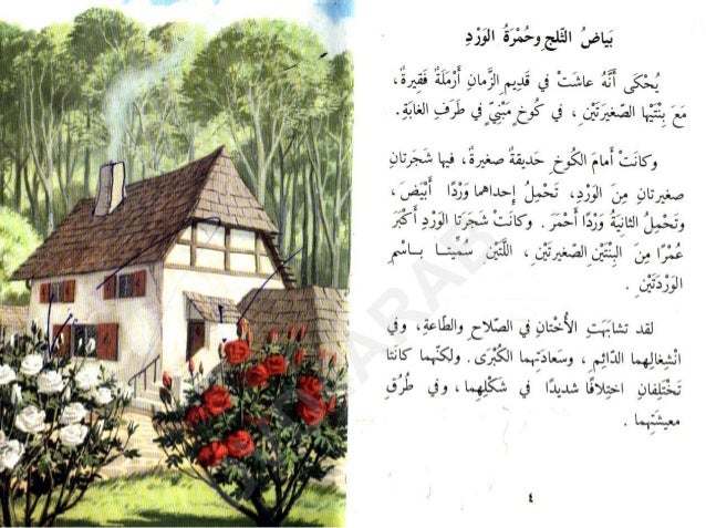 بياض الثلج وحمرة الورد