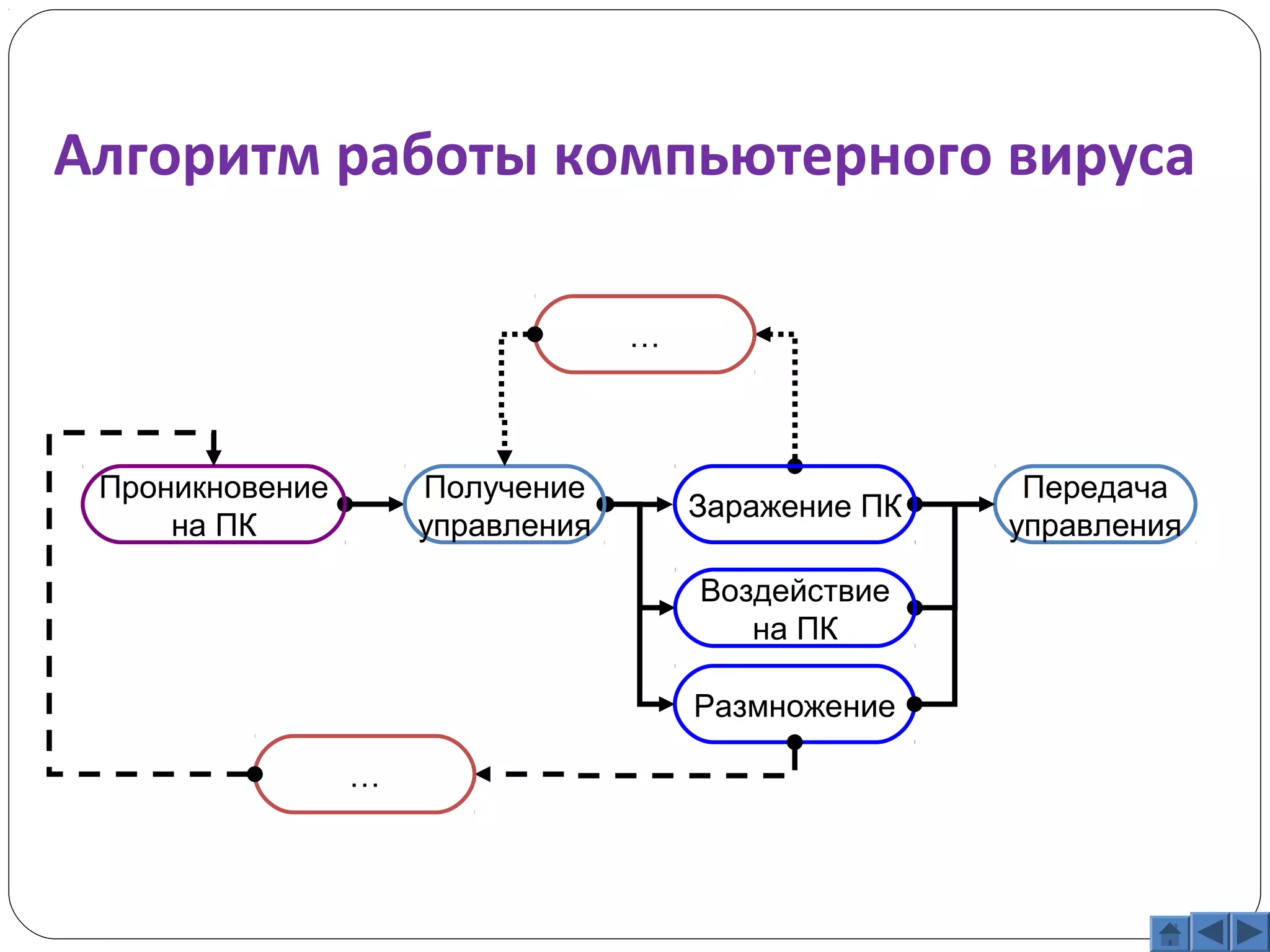 Алгоритм работы компьютерного вируса 
Получение 
управления 
Воздействие 
на ПК 
Размножение 
Проникновение 
на ПК 
… 
Передача 
Заражение ПК управления 
… 
 