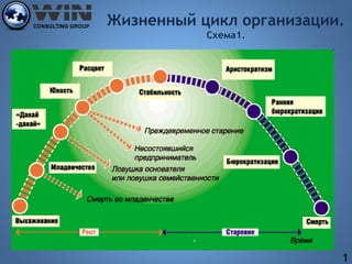 Жизненный цикл организации. 
Схема1. 
1 
 
