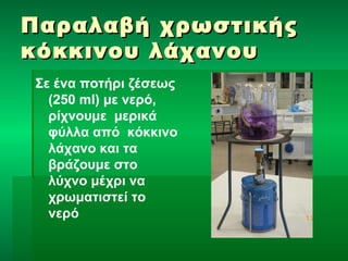 Παραλαβή χχρρωωσσττιικκήήςς 
κκόόκκκκιιννοουυ λλάάχχααννοουυ 
Σε ένα ποτήρι ζέσεως 
(250 ml) με νερό, 
ρίχνουμε μερικά 
φύλλα από κόκκινο 
λάχανο και τα 
βράζουμε στο 
λύχνο μέχρι να 
χρωματιστεί το 
νερό 
 