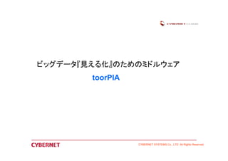 ビッグデータ『見える化』のためのミドルウェア 
CYBERNET SYSTEMS Co., LTD All Rights Reserved 
toorPIA 
 