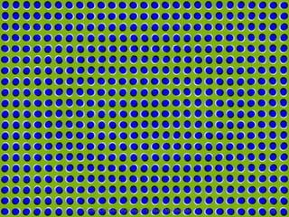 Carmen Albano - Psicología - Gestalt - Movimiento 
15  