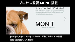 プロセス監視 MONIT搭載! 
php-fpm, nginx, mysql のプロセスが終了したことを監視 
自動で再起動してくれます 
 