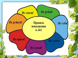 правила поведінки в лісі