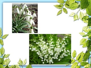 правила поведінки в лісі