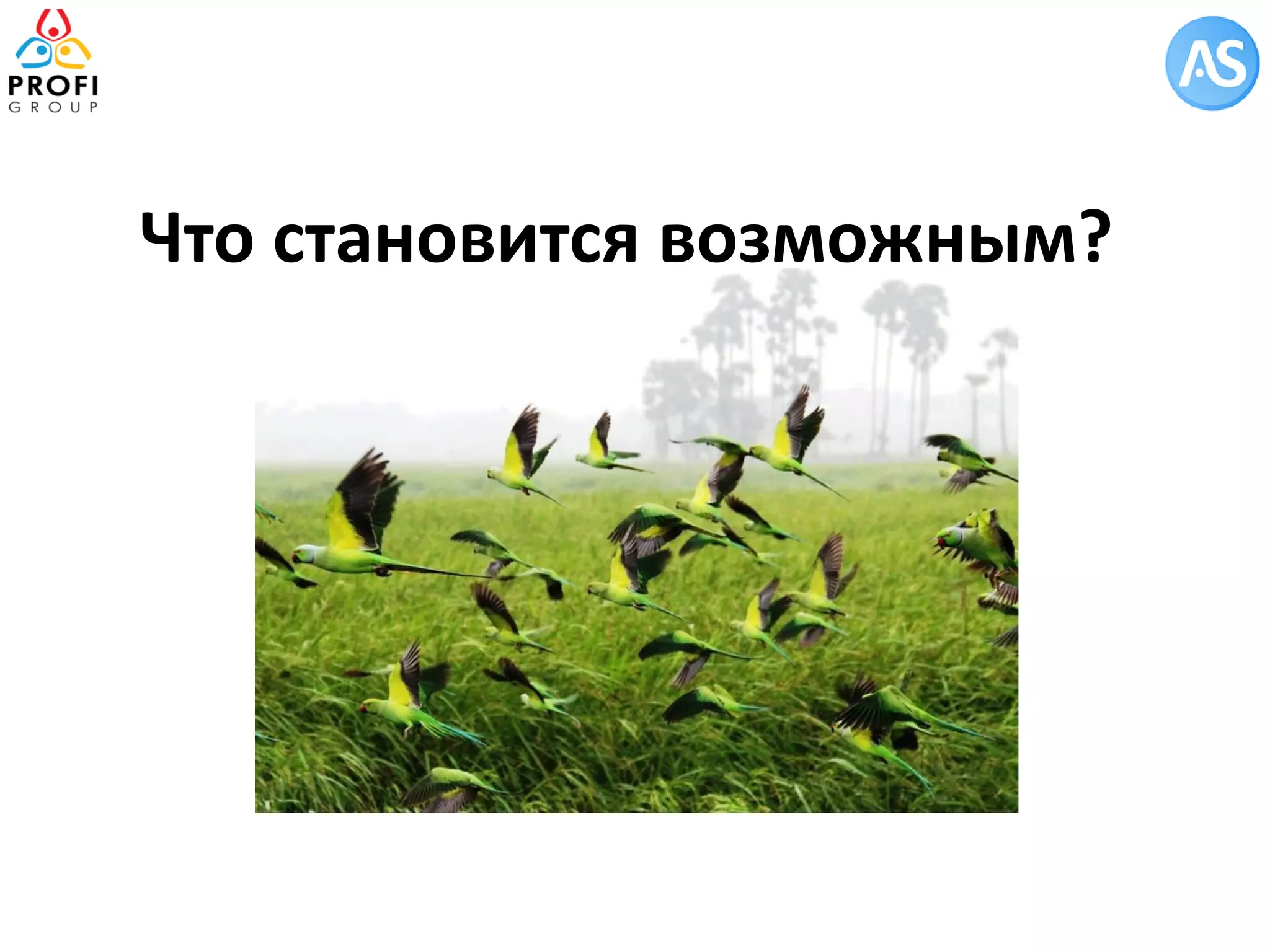 Что становится возможным? 
 