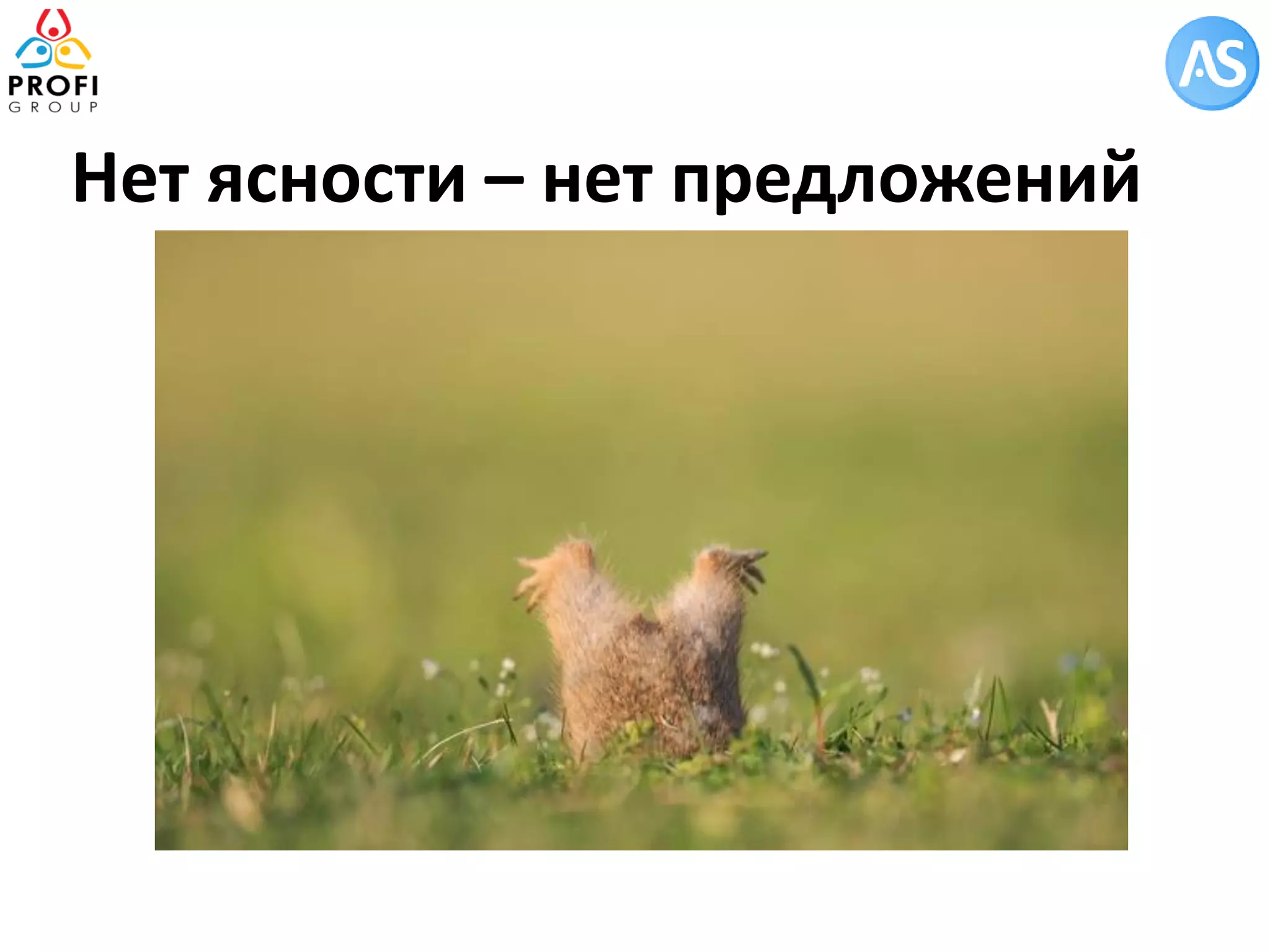 Нет ясности – нет предложений  