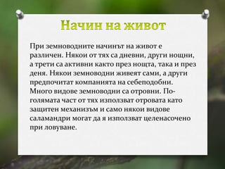 При земноводните начинът на живот е 
различен. Някои от тях са дневни, други нощни, 
а трети са активни както през нощта, така и през 
деня. Някои земноводни живеят сами, а други 
предпочитат компанията на себеподобни. 
Много видове земноводни са отровни. По- 
голямата част от тях използват отровата като 
защитен механизъм и само някои видове 
саламандри могат да я използват целенасочено 
при ловуване. 
 