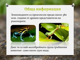 Земноводните са произлезли преди около 380 
млн. години от древни представители на 
ръкоперите. 
Днес те са най-малобройната група гръбначни 
животни- само около 2500 вида. 
 