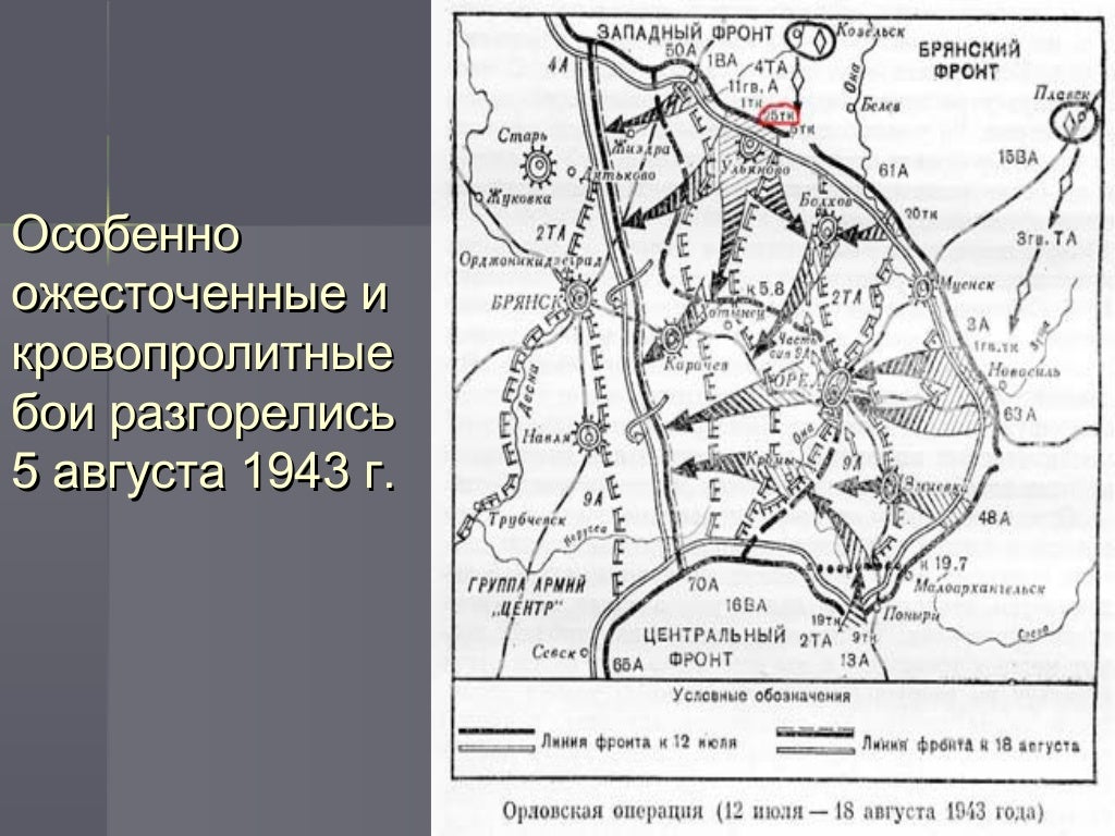 Кодовое название операции по захвату москвы. 1942-02. Какое название носила операция. Курская операция 1943. Битва за москву сентябрь 1941.