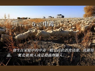 55、中毒 
發生在家庭中的中毒一般是由於誤食清潔、洗滌用
品，，一氧化碳吸入或是殺蟲劑攝入。
 