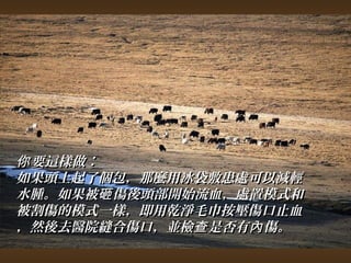 你要這樣做︰ 
如果頭上起了個包，，那麼用冰袋敷患處可以減輕
水腫。如果被砸傷後頭部開始流血，，處置模式和
被割傷的模式一樣，，即用乾淨毛巾按壓傷口止血
，然後去醫院縫合傷口，，並檢查是否有內傷。
 