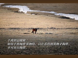 千萬別這樣做︰ 
如用手指掏挖異物時，，只在看得到異物才掏挖，， 
不可盲目掏挖。
 