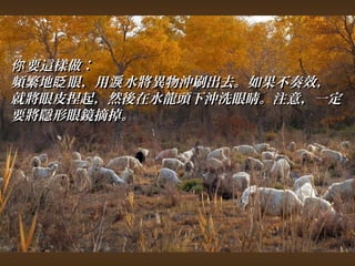 你要這樣做︰ 
頻繁地眨眼，，用淚水將異物沖刷出去。如果不奏效，， 
就將眼皮捏起，，然後在水龍頭下沖洗眼睛。注意，，一定
要將隱形眼鏡摘掉。
 