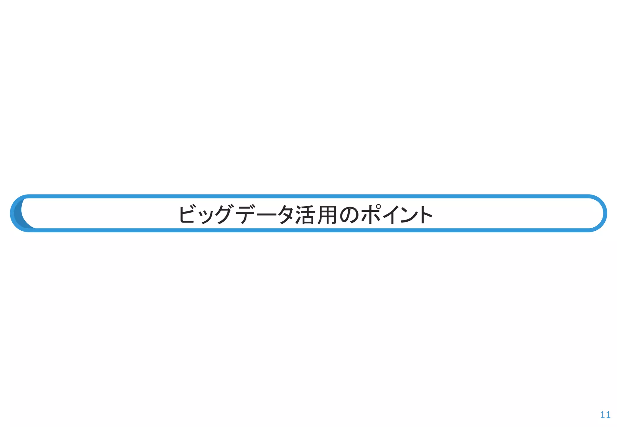 11 
ビッグデータ活用のポイント  