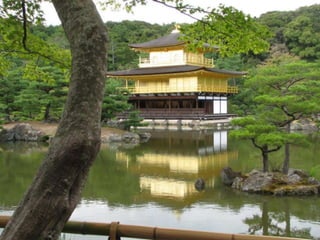 Кардиомиопатия Такотсубо