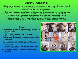 Цели: 
- Вызвать у детей чувства радостного 
удивления 
- рассматривать семена, лук 
(понятия большая - маленькая; одна - 
много); 
-наблюдение за посадкой, первыми 
всходами 
- Учить ухаживать за растениями , 
развивать координацию движения 
детей. 
Задачи проекта: 
Формирование первичных экологических представлений 
детей раннего возраста. 
Обучать детей любить и бережно относиться к природе. 
Повышение роста профессионального мастерства 
родителей , по вопросам раннего развития детей. 
 