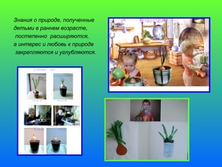 Знания о природе, полученные 
детьми в раннем возрасте, 
постепенно расширяются, 
а интерес и любовь к природе 
закрепляются и углубляются. 
 