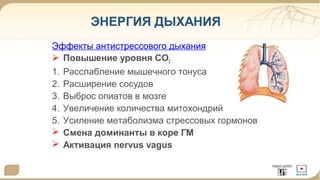 ЭНЕРГИЯ ДЫХАНИЯ 
Эффекты антистрессового дыхания 
 Повышение уровня СО2 
1. Расслабление мышечного тонуса 
2. Расширение сосудов 
3. Выброс опиатов в мозге 
4. Увеличение количества митохондрий 
5. Усиление метаболизма стрессовых гормонов 
 Смена доминанты в коре ГМ 
 Активация nervus vagus 
 