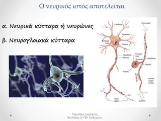 Ο νευρικός ιστός αποτελείται 
α. Νευρικά κύτταρα ή νευρώνες 
β. Νευρογλοιακά κύτταρα 
Γαριπίδης Ιορδάνης 
Βιολόγος 3ο ΓΕΛ ...