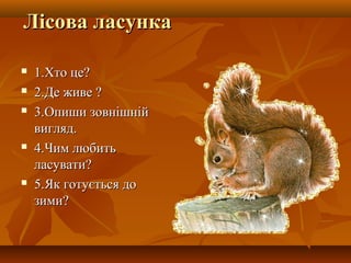 Лісова ллаассууннккаа
11..ХХттоо ццее??
22..ДДее жжииввее ??
33..ООппиишшии ззооввнніішшнніійй
ввиигглляядд..
44..ЧЧиимм ллююббииттьь
ллаассууввааттии??
55..ЯЯкк ггооттууєєттььссяя ддоо
ззииммии??
