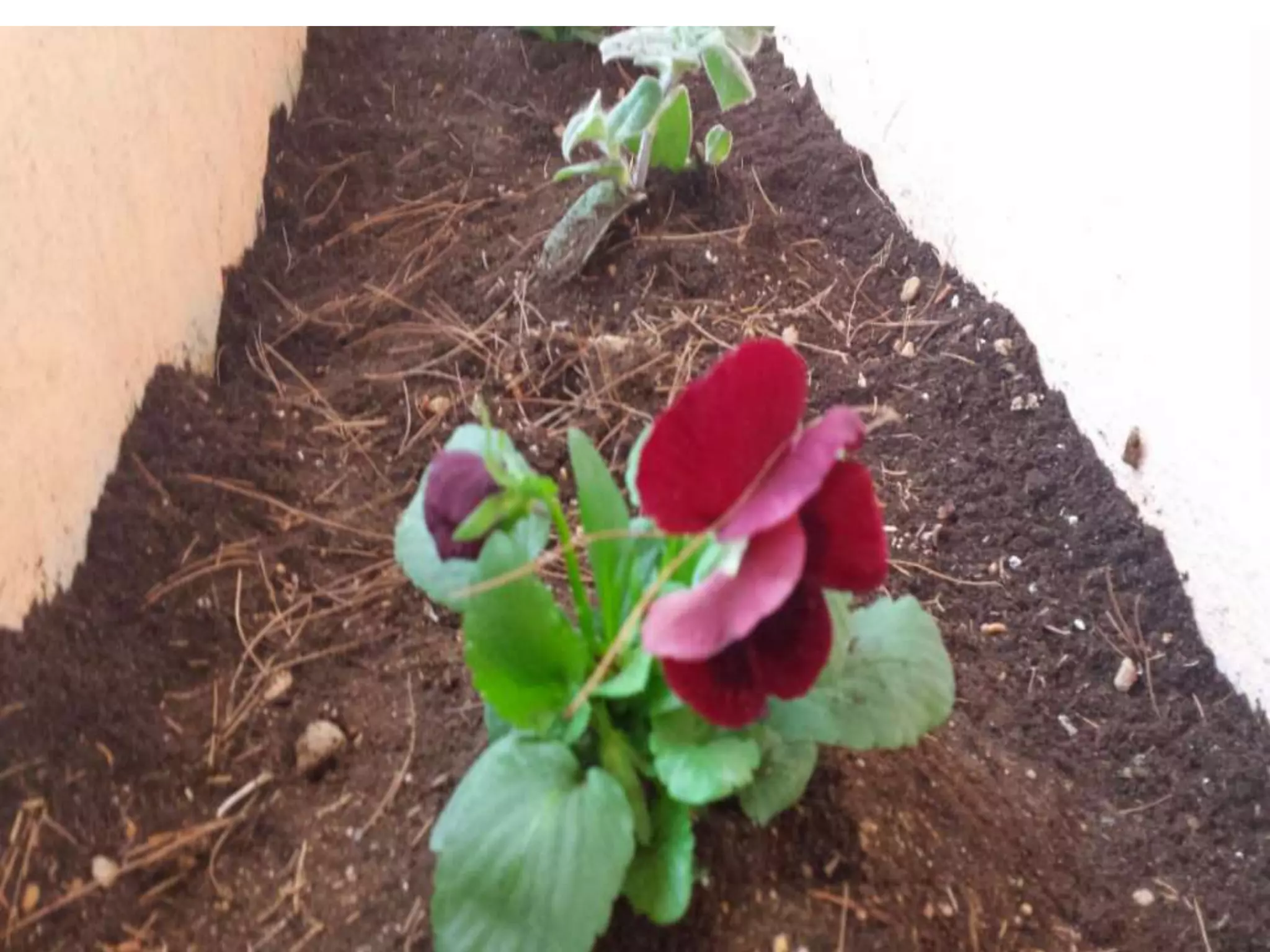 ΠΕΡΙΒΑΛΛΟΝΤΙΚΗ ΕΒΔΟΜΑΔΑ