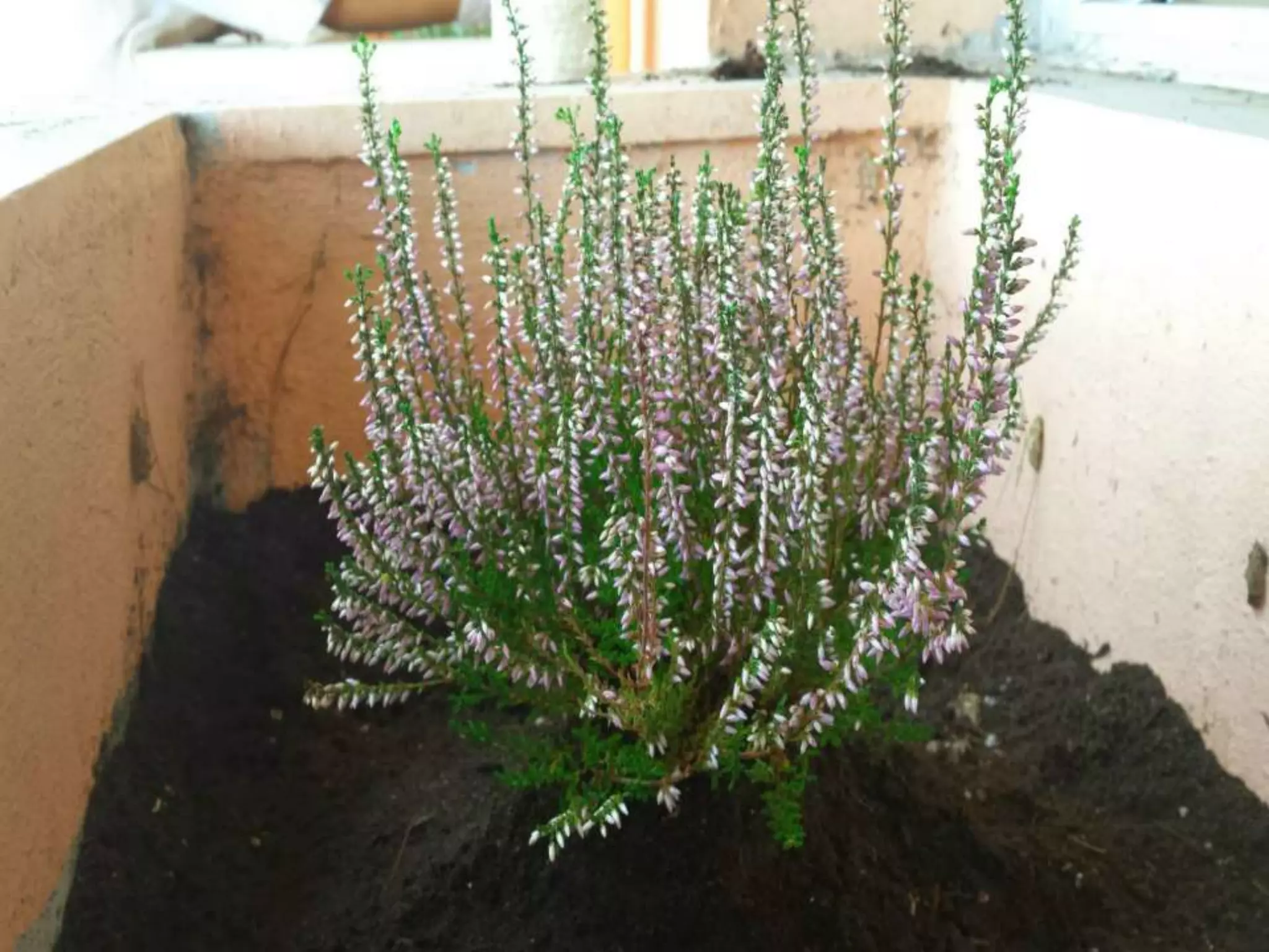 ΠΕΡΙΒΑΛΛΟΝΤΙΚΗ ΕΒΔΟΜΑΔΑ