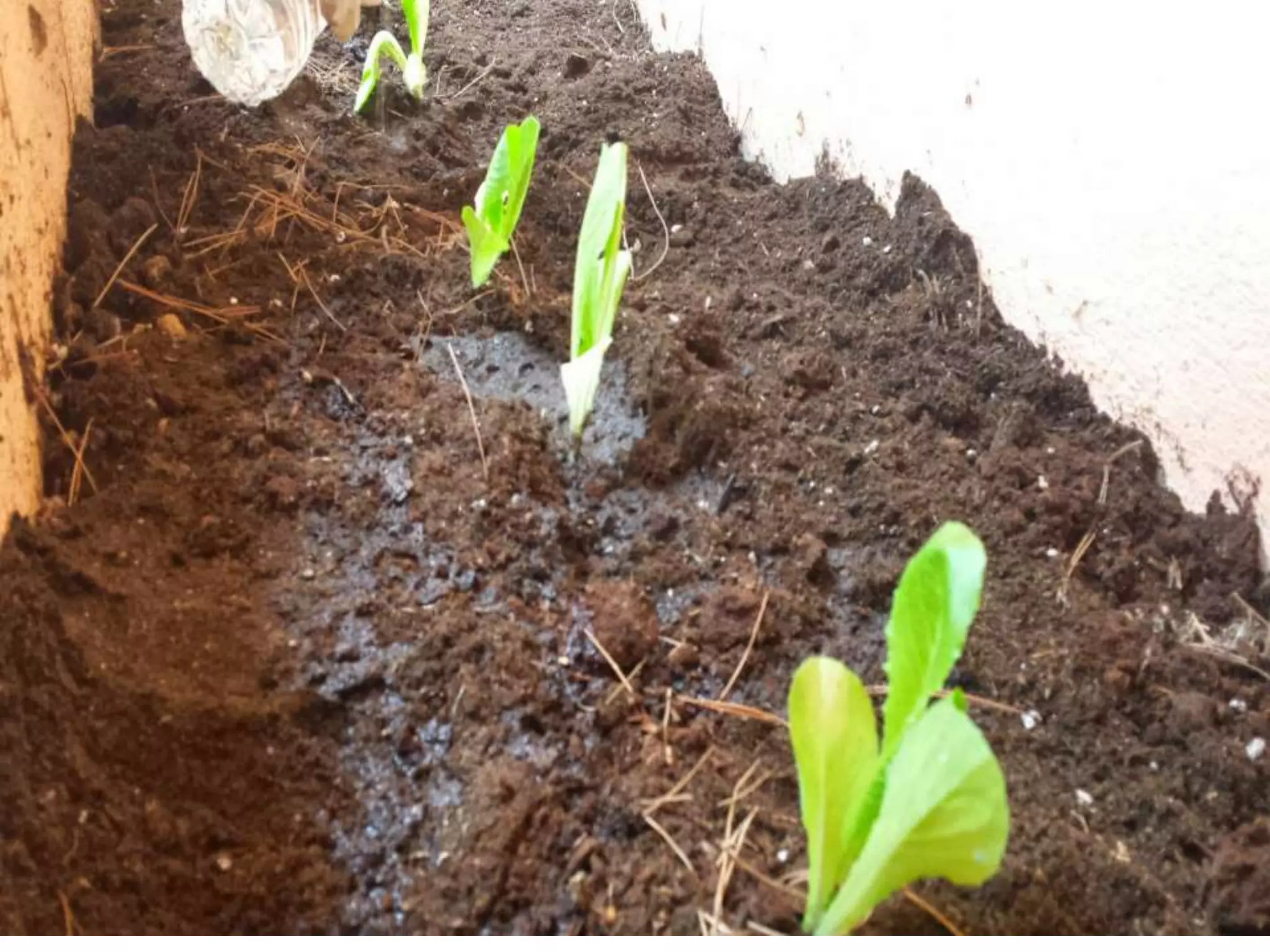 ΠΕΡΙΒΑΛΛΟΝΤΙΚΗ ΕΒΔΟΜΑΔΑ