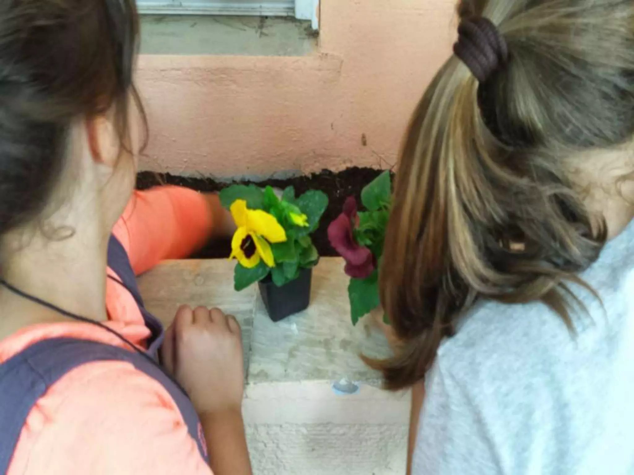 ΠΕΡΙΒΑΛΛΟΝΤΙΚΗ ΕΒΔΟΜΑΔΑ